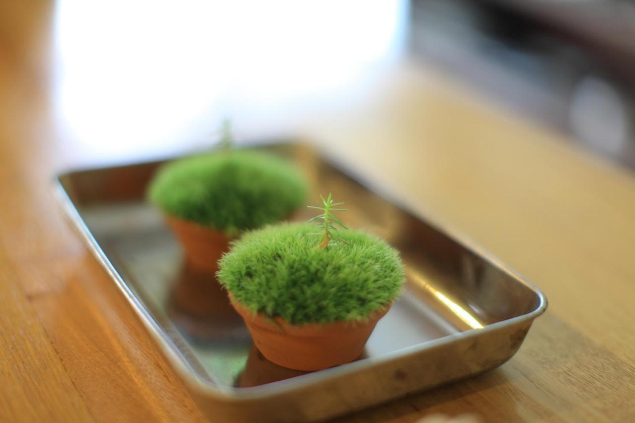 Yakushima Minsyuku Suginoko Bed & Breakfast Exterior foto